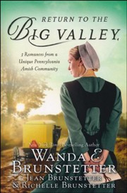 Return to the Big Valley : 3 romances from a unique Pennsylvania Amish community Book cover