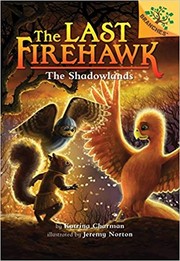 The Shadowlands  Cover Image