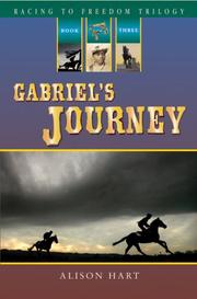 Gabriel's journey  Cover Image